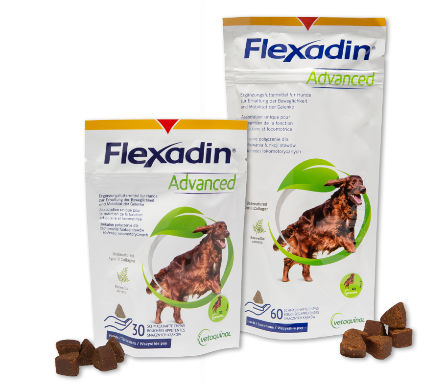 Packshot Flexadin Advanced freigestellt