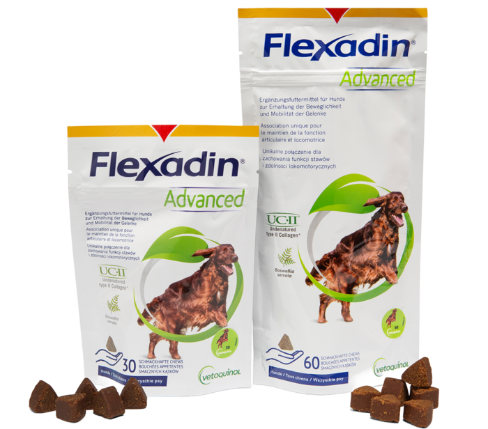 Freigestelltes Packshot von Flexadin Advanced für Hunde