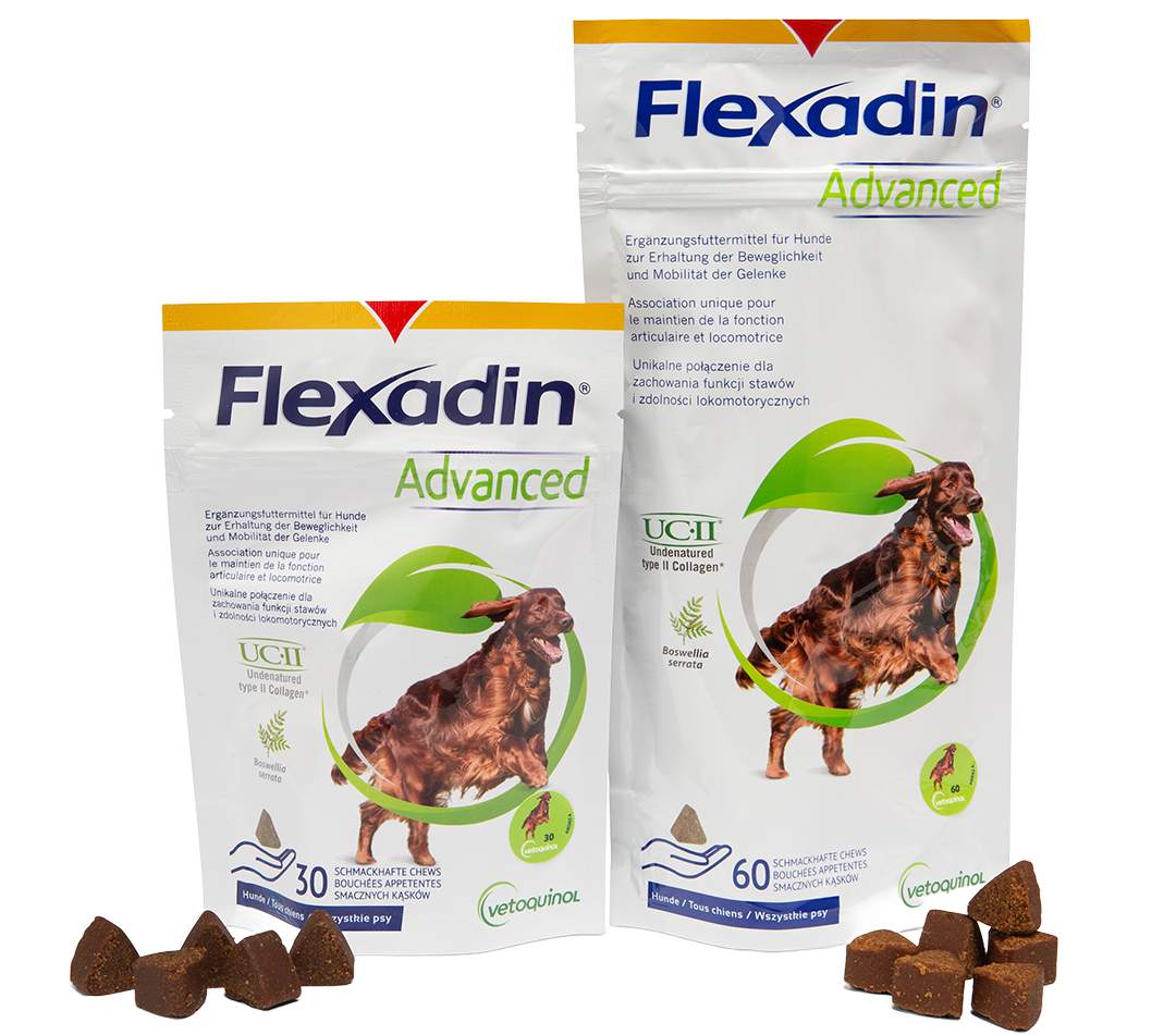 Freigestelltes Packshot von Flexadin Advanced für Hunde