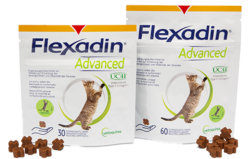 Packshot von Flexadin Advanced fuer die Katze