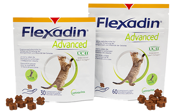 Packshot von Flexadin Advanced fuer die Katze