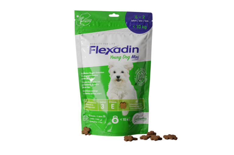 Packshot Flexadin Young Dog Mini